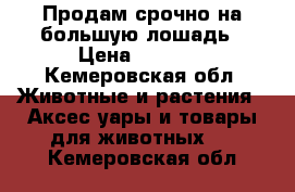 Продам срочно на большую лошадь › Цена ­ 4 500 - Кемеровская обл. Животные и растения » Аксесcуары и товары для животных   . Кемеровская обл.